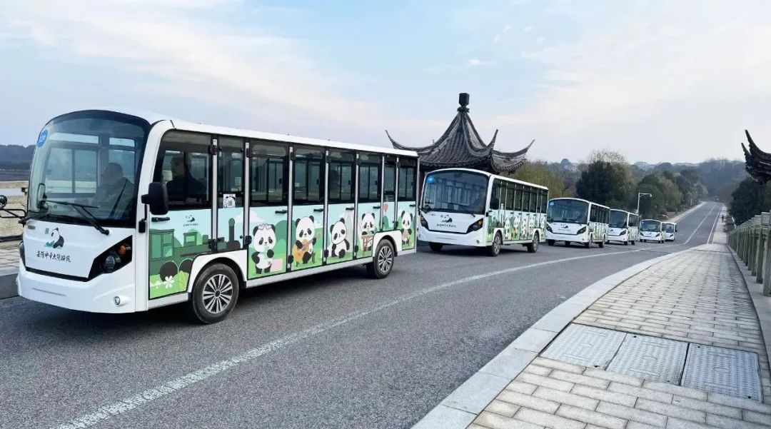 “熊猫天团”来了！玛西尔23座观光车抵达岳阳中华大熊猫苑！