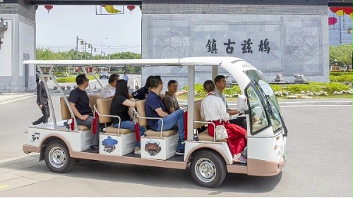 买一台电动观光车需要多少钱？