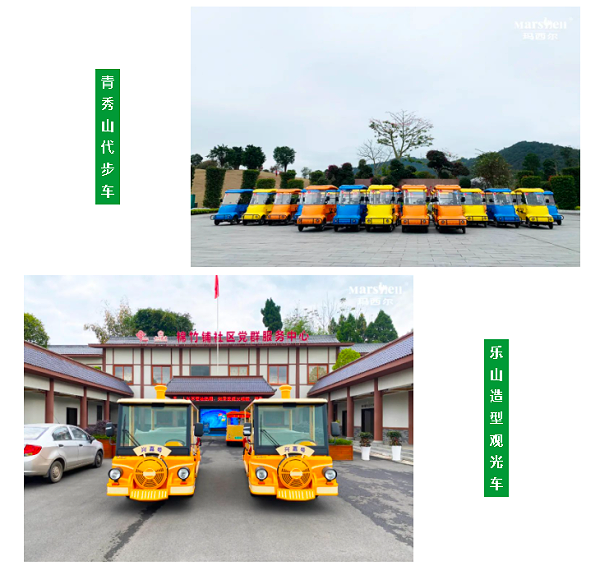 玛西尔电动车案例