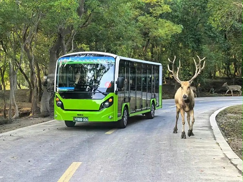 玛西尔：回归自然亦是成功之道