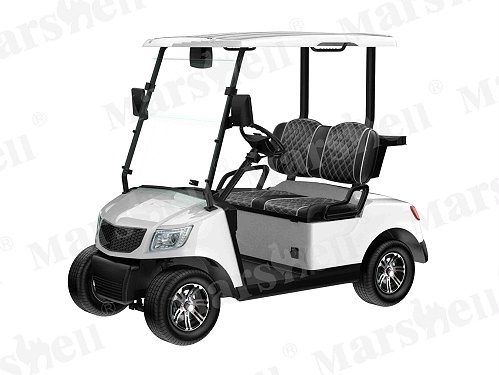 两座电动高尔夫球车