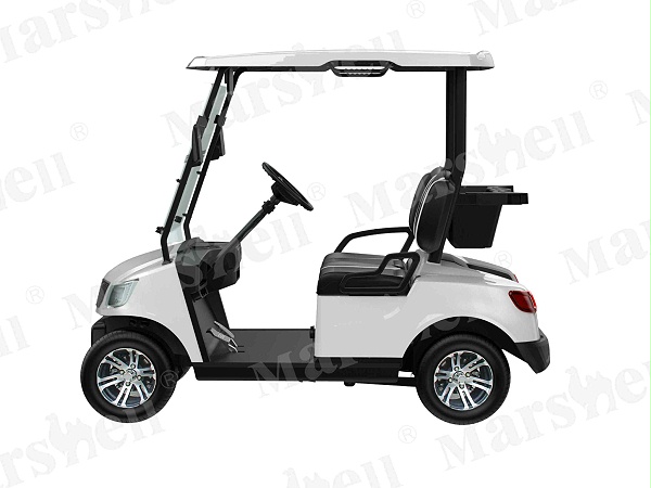 两座电动高尔夫球车