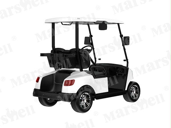 两座电动高尔夫球车