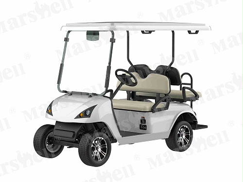 2+2 四座电动高尔夫球车