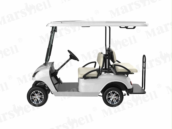 2+2 四座电动高尔夫球车