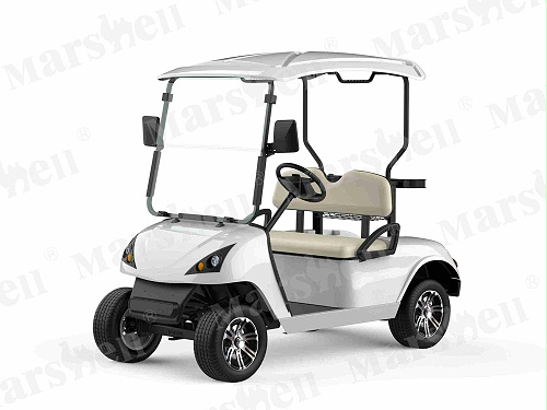 两座电动高尔夫球车