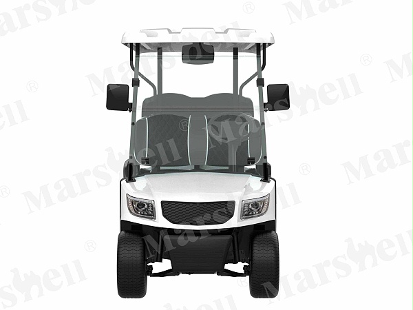 DG-M6+2 八座电动高尔夫球车