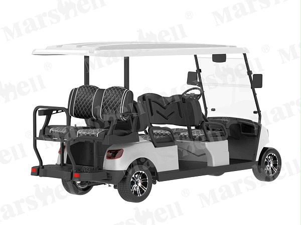 DG-M4+2 六座高尔夫球车