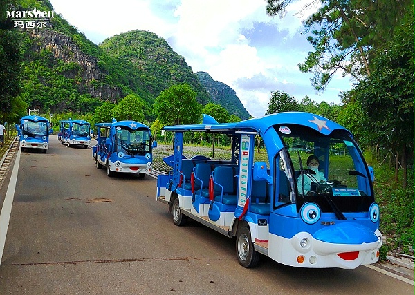 玛西尔电动造型观光车
