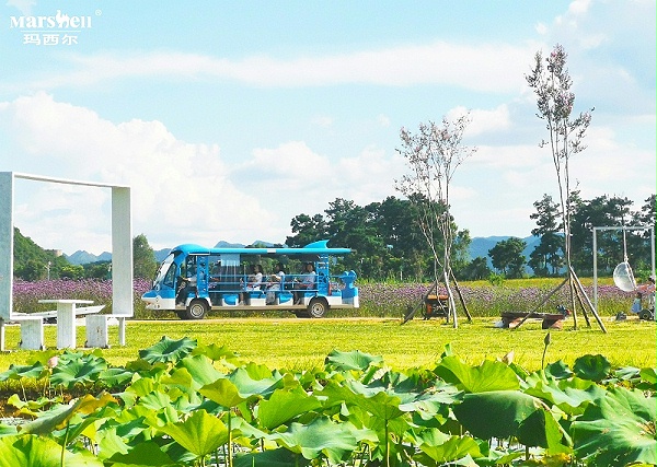 玛西尔电动造型观光车