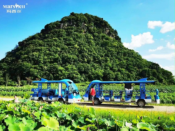玛西尔电动造型观光车