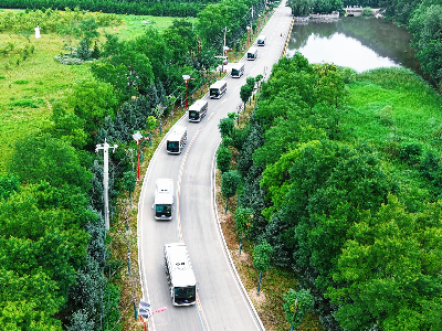 玛西尔景区电动观光车