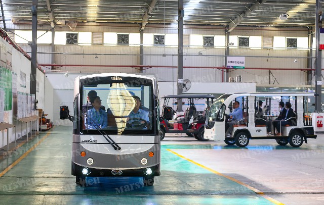 VIP豪华观光车