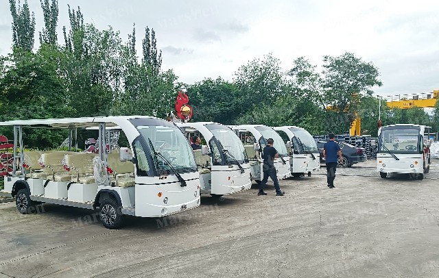 工厂电动观光车