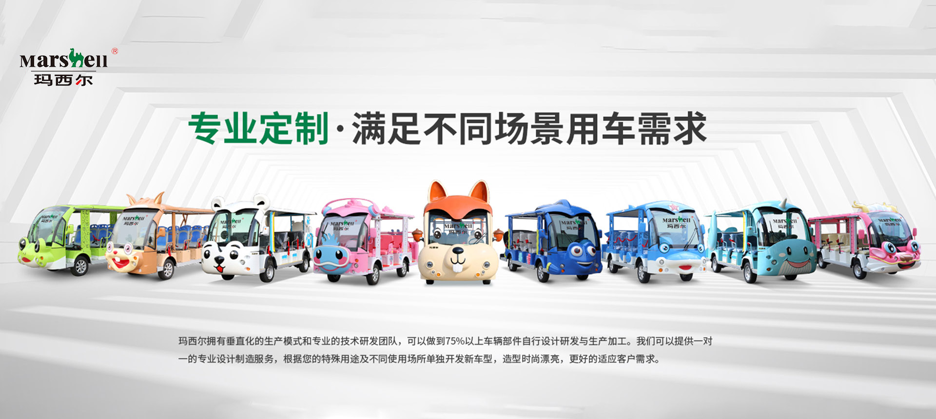 定制电动观光车