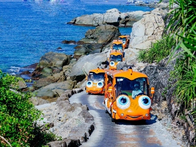 主题IP电动观光车